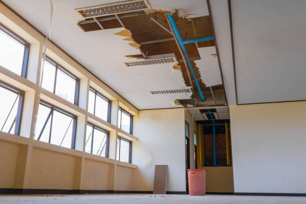 Best Sewage cleanup and water damage restoration  in Parkers Prairie, MN