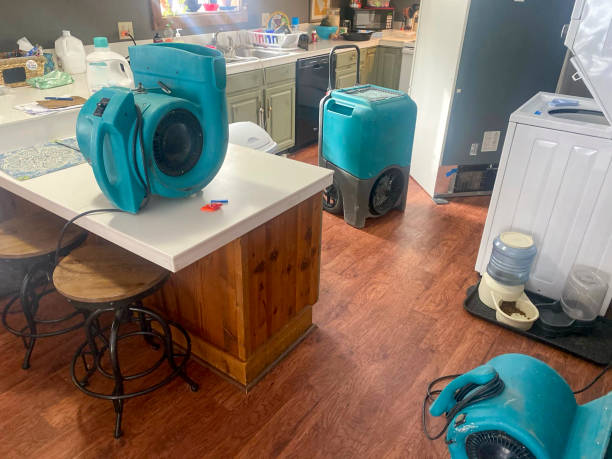  Parkers Prairie, MN Water damage restoration Pros
