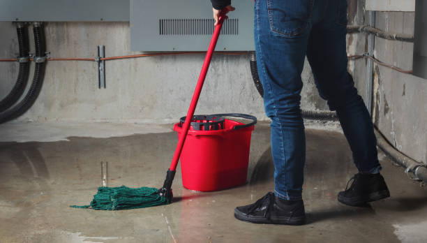 Best Water damage restoration near me  in Parkers Prairie, MN