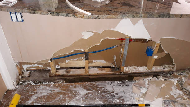 Best Flooded house restoration  in Parkers Prairie, MN