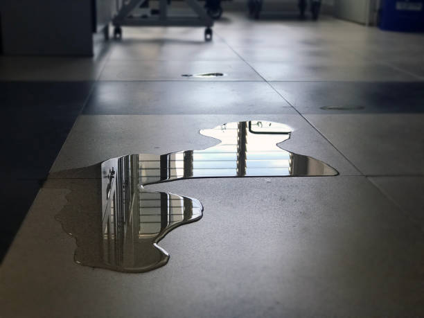 Best Professional water damage repair  in Parkers Prairie, MN