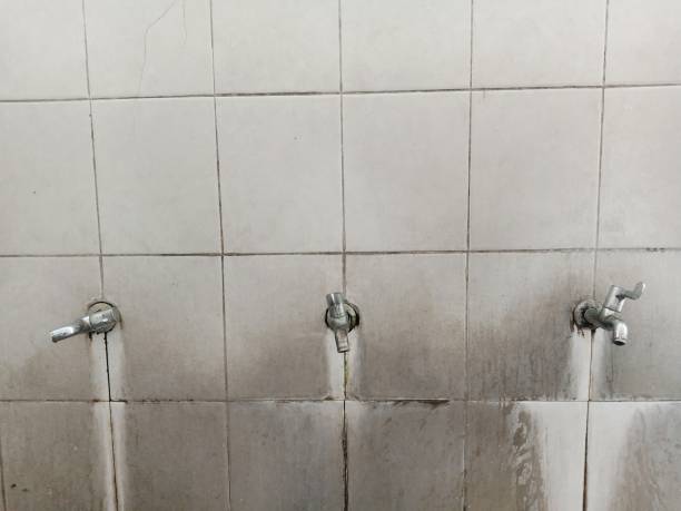 Best Carpet water damage restoration  in Parkers Prairie, MN