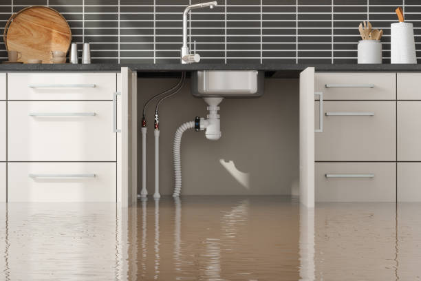 Best Commercial water damage restoration  in Parkers Prairie, MN