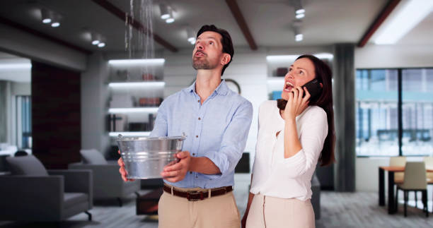 Best Water damage restoration near me  in Parkers Prairie, MN